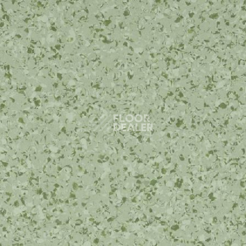 Линолеум Gerflor Mipolam Affinity 4407 Spearmint фото 1 | FLOORDEALER
